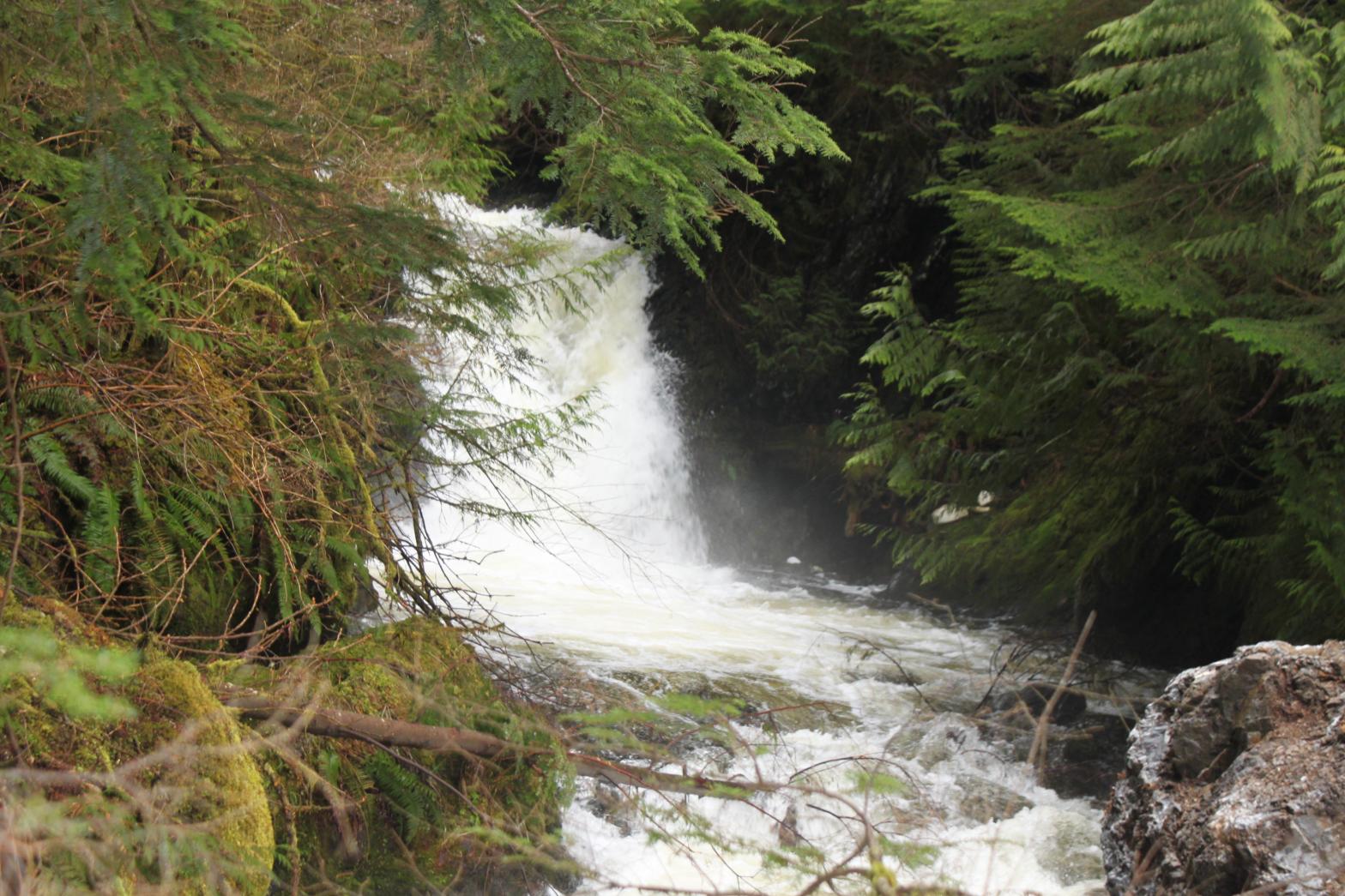 The 18' biggest drop of Upper Hancock Creek Falls