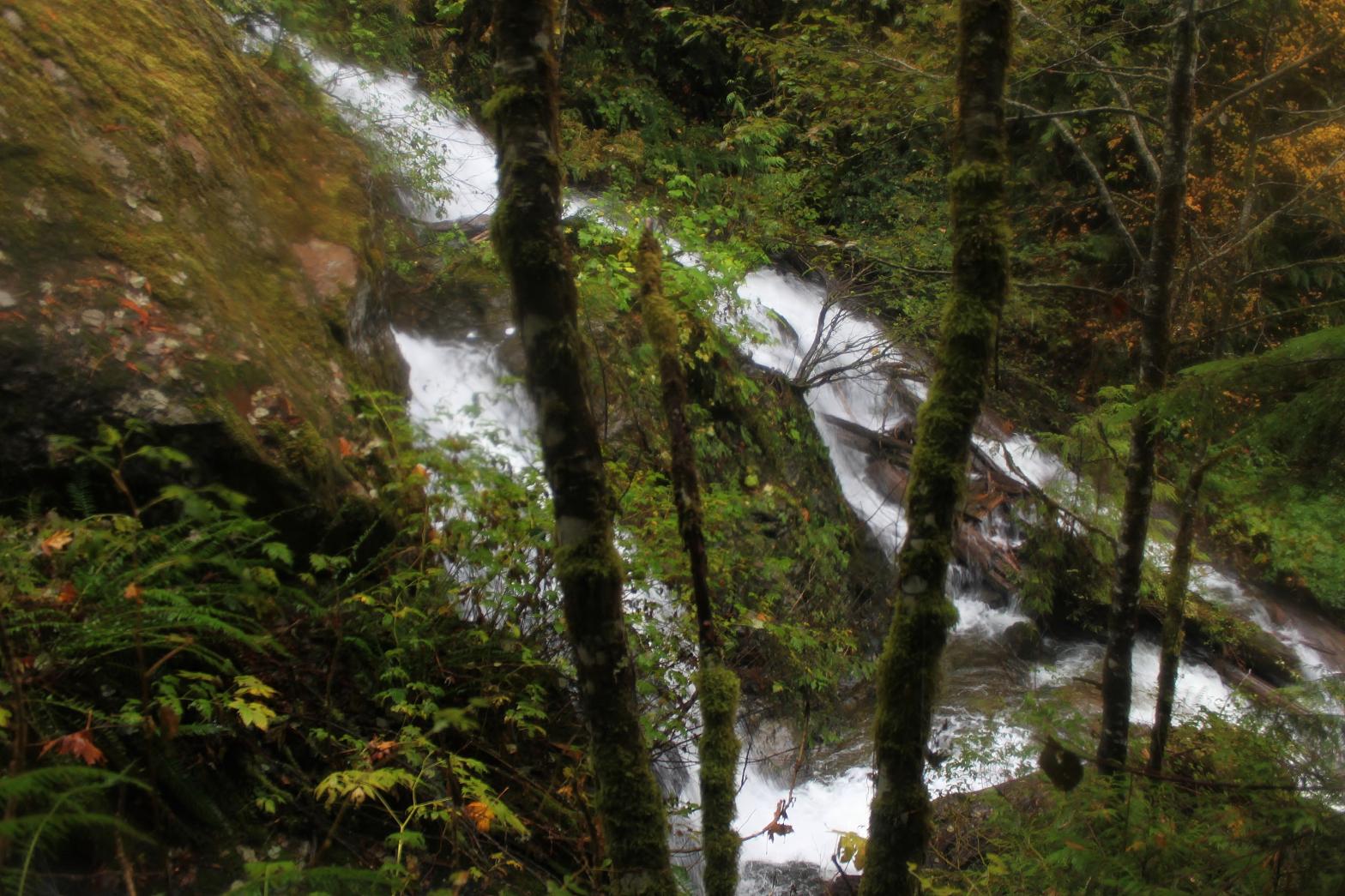 Fourth Tier of Furland Falls through the trees