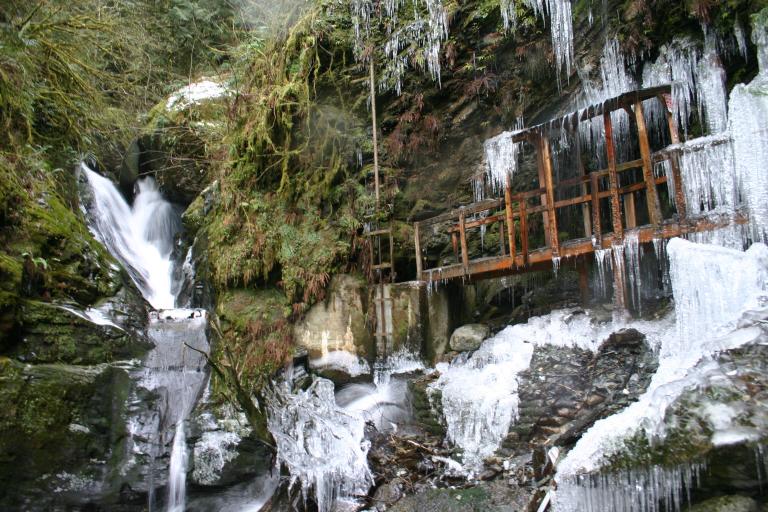 Winter at Gilligan Creek Falls