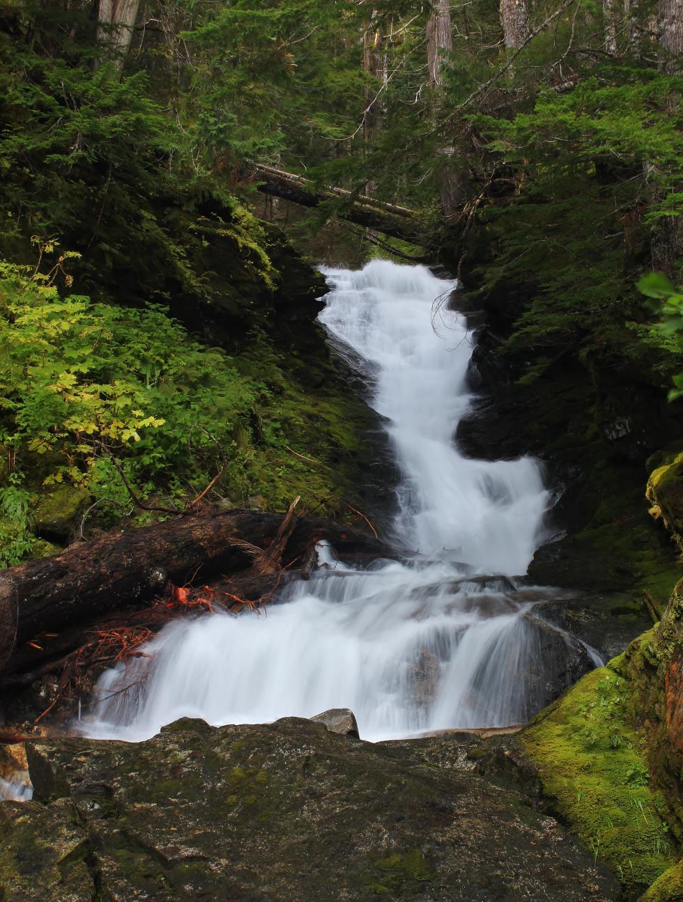 Middle Cougar Creek Falls