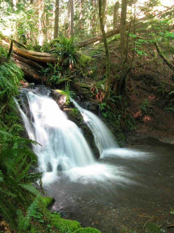 Side view of Rustic Falls