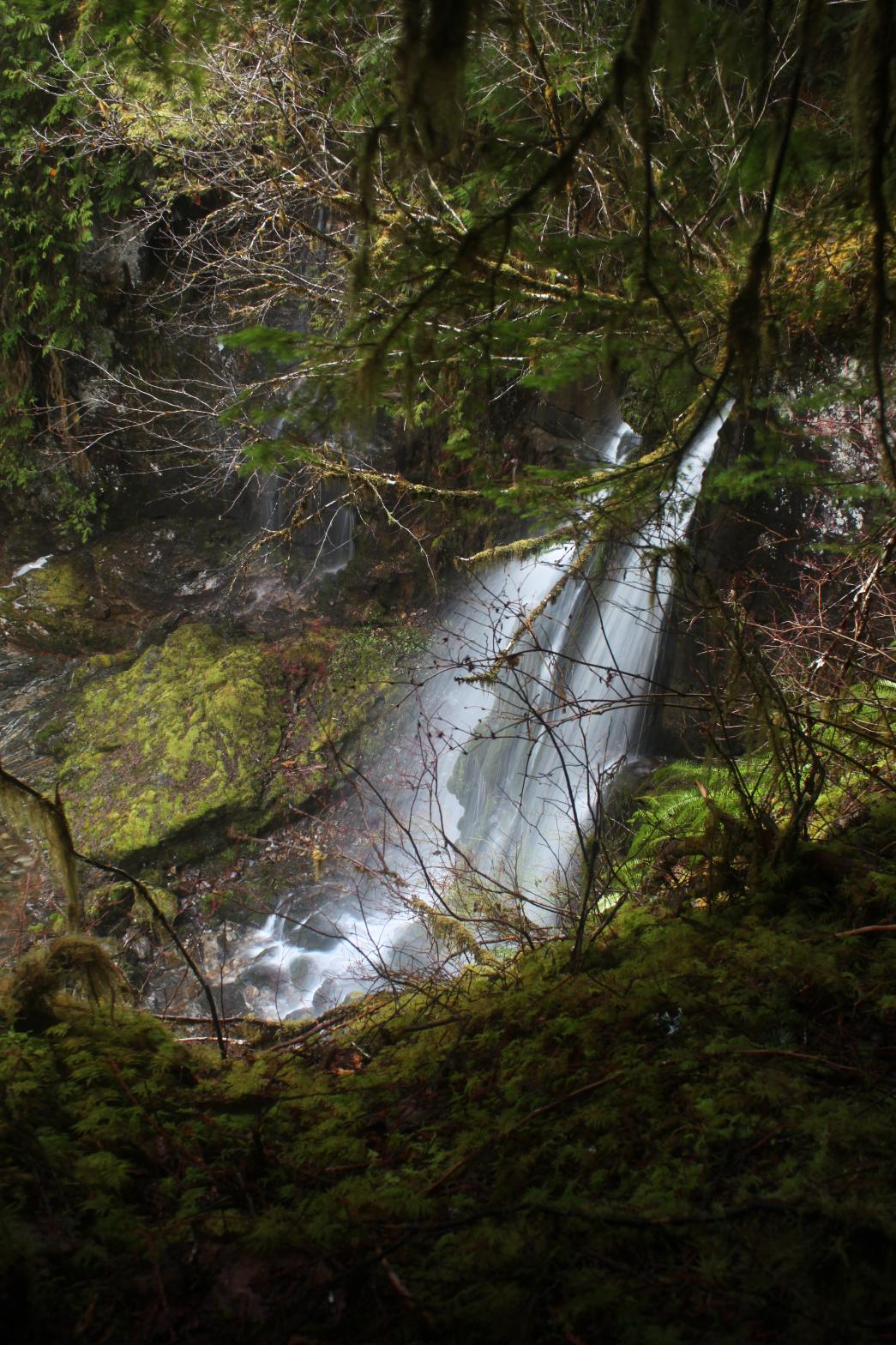 Bonus waterfall near Stettatle Creek Falls