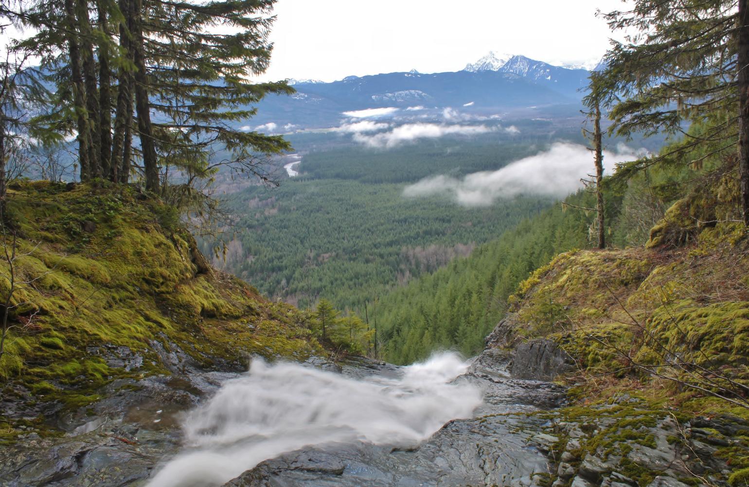Looking Over the Top of the Falls Toward Darrington