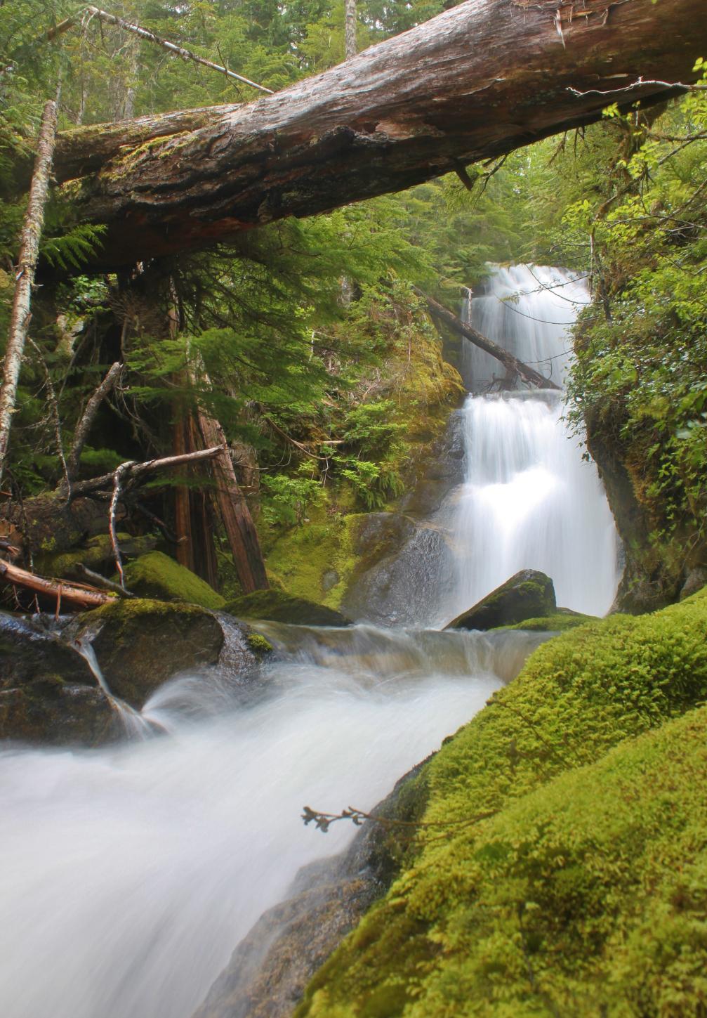 Swayel Falls