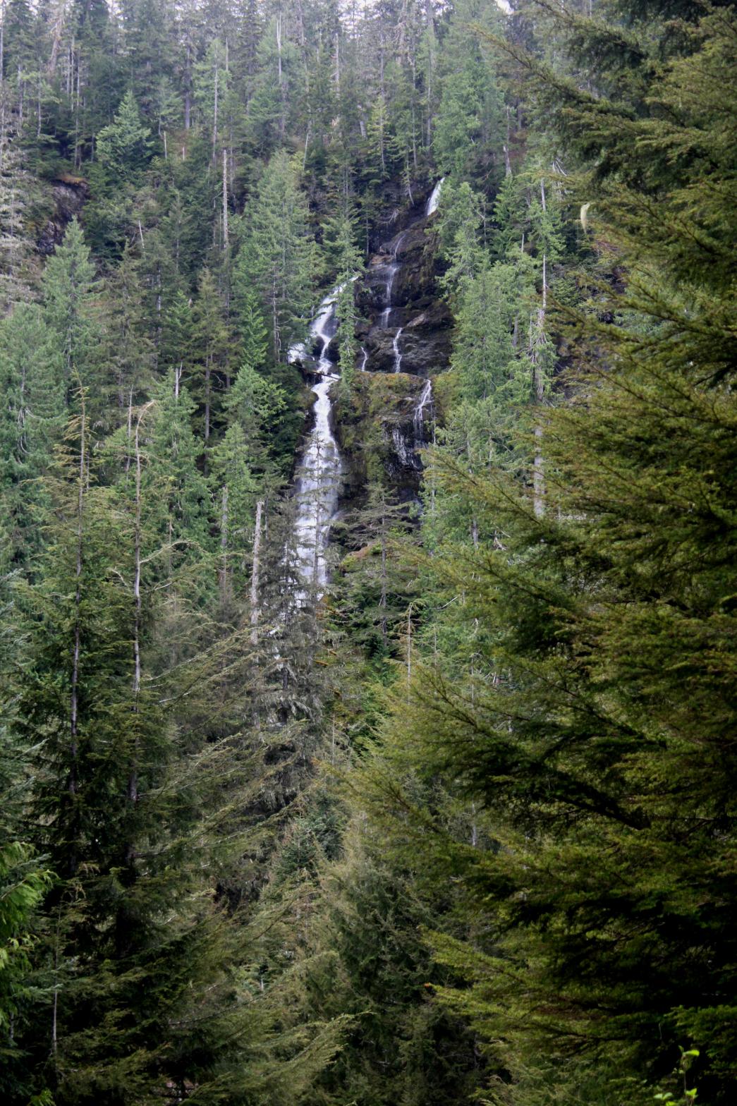 Upper Washington Falls from the road